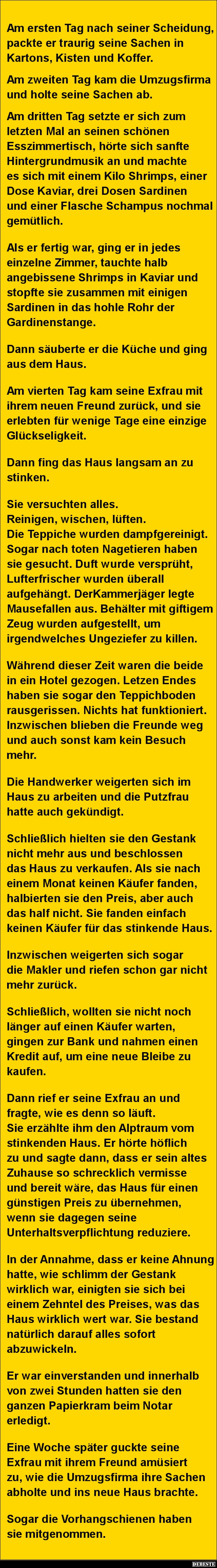 Am ersten Tag nach seiner Scheidung, packte er traurig seine Sachen in Kartons, Kisten und Koffer.
Am zweiten Tag kam di...