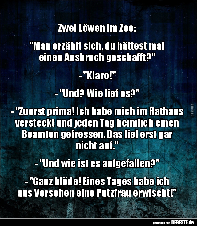 Zwei Löwen im Zoo:"Man erzählt sich, du hättest mal.." - Lustige Bilder | DEBESTE.de