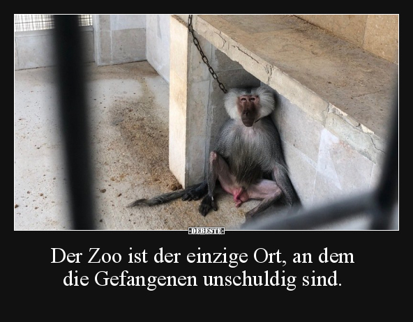 Der Zoo ist der einzige Ort, an dem.. - Lustige Bilder | DEBESTE.de